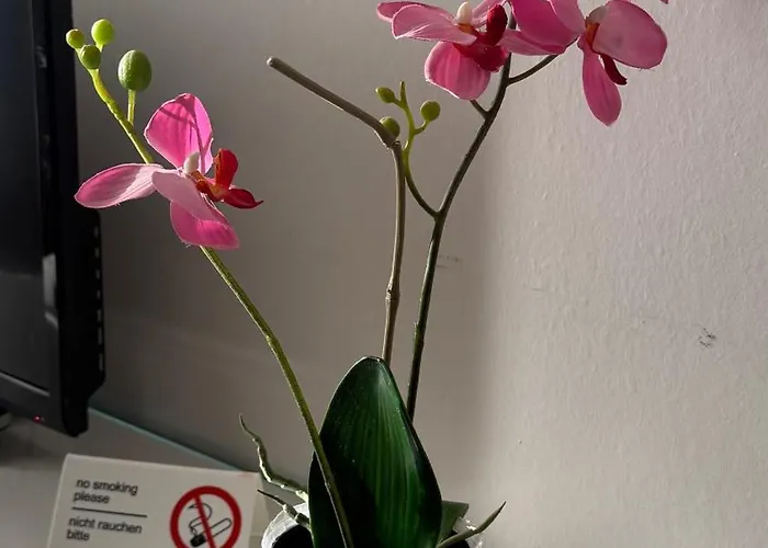 Lisboa Tram * Luxembourg